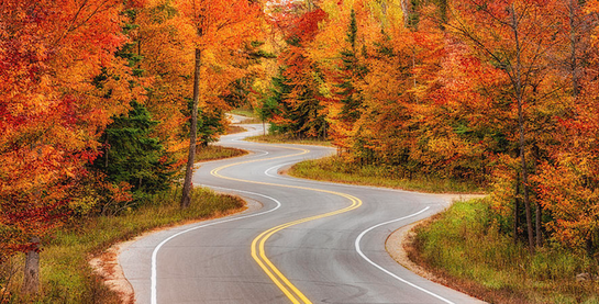 long and winding road to business growth