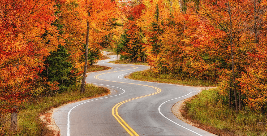 long and winding road to business growth